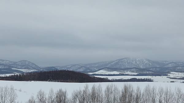 日本北海道冬季旅遊行程_美瑛雪景