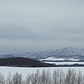 日本北海道冬季旅遊行程_美瑛雪景