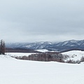 日本北海道冬季旅遊行程_美瑛雪景