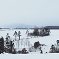 日本北海道冬季旅遊行程_美瑛雪景