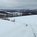 日本北海道冬季旅遊行程_美瑛雪景