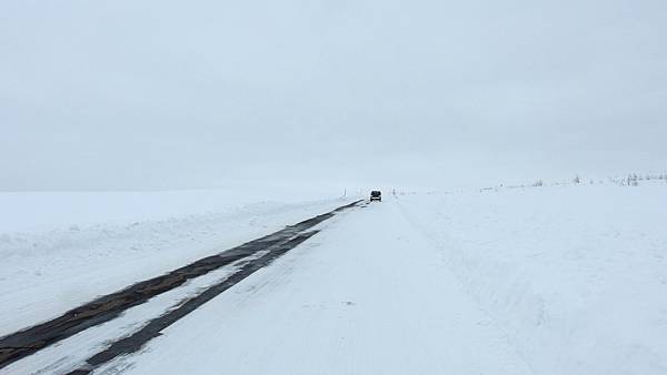 日本北海道冬季旅遊行程_美瑛雪景