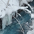 日本北海道旅遊_白鬚瀑布、白金溫泉旅館_必去攝影景點