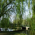 0414 walk around York Uni 17-HanI's favourite bridge.jpg