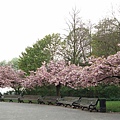 Nottingham castle garden 1.JPG