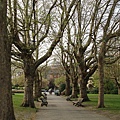 Nottingham castle garden 2.JPG
