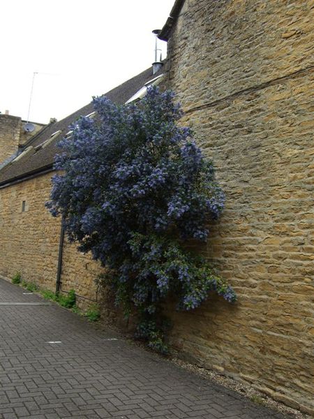 Bourton-on-the-water 1.jpg