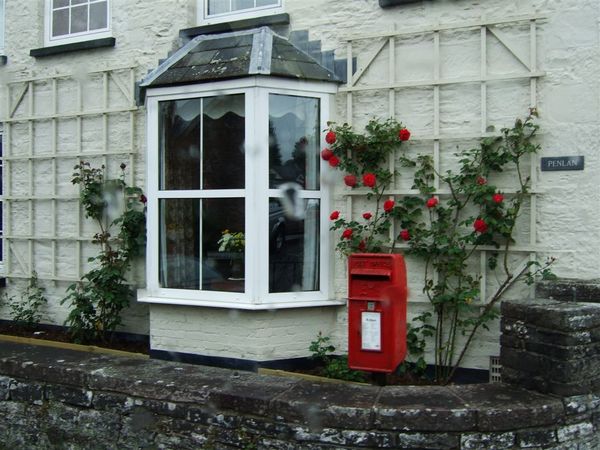 white wall red flowers.jpg