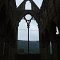 Tintern Abbey  4.jpg