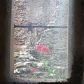 window flower.jpg