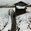 20110213-03.JPG