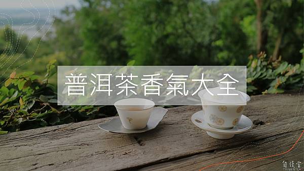 #品茶知識#普洱茶香#普洱茶等級#普洱茶生茶#普洱茶熟茶#普洱茶茶香#普洱茶生茶種類#普洱茶生茶茶香#普洱茶熟茶種類#普洱茶熟茶茶香#普洱茶泡法#普洱茶煮法#普洱茶生茶熟茶#品普洱茶#普洱茶咖啡因#普洱茶選擇#普洱茶茶香種類#茶香#茶香分類#怎麼品茶香.jpg