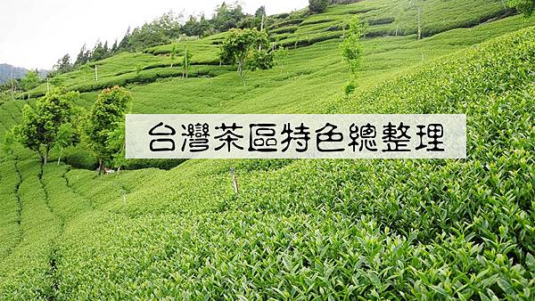 #台灣茶區#高山烏龍茶#台灣茶區海拔#茶區海拔高度表#台灣茶區特色#台灣茶區總整理#台灣茶區高度#台灣高山茶海拔#高山茶海拔差別#高山茶海拔高度表#高山茶特色#什麼是高山茶#什麼是高山烏龍茶#台灣高山烏龍茶#台灣高山茶推薦#台灣高山茶#台灣高山茶茶區特色#台灣高山茶特色#高山烏龍茶特色#台灣茶海拔高度表