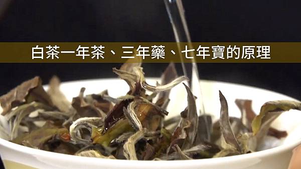 #白茶#什麼是白茶#一年茶三年藥七年寶#為什麼一年茶三年藥七年寶#白茶作法#白茶價值#白茶特色#白茶種類#白茶價錢#白茶養生#白茶存放#藏得深紅三倍價#黃酮#一年茶#三年藥#七年寶#陳年白茶#多酚類氧化物#家家賣弄隔年陳#六大茶類.jpg