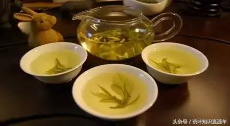 #茶葉知識#白茶#黃茶#六大茶類#什麼是白茶#什麼是黃茶#白茶和黃茶差別#白茶作法#黃茶作法#白茶特色#黃茶特色#白茶製作#黃茶製作#白茶產地#黃茶產地#白茶功效#黃茶功效#白茶營養價值#黃茶營養價值#白牡丹4