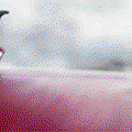 tumblr_o3u37iee5C1qd4rf5o4_540.gif