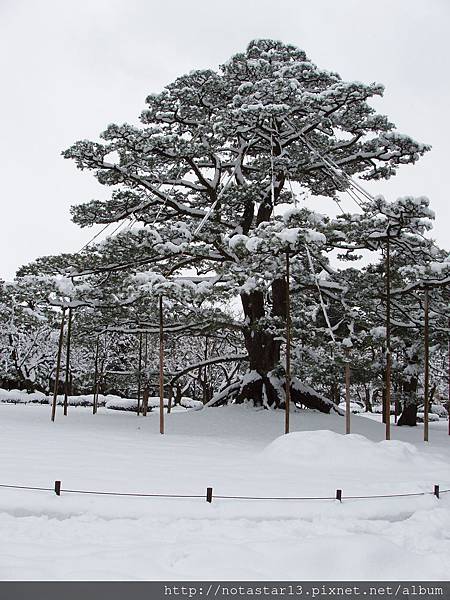 金澤市-兼六園10.JPG