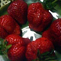 今年草莓1