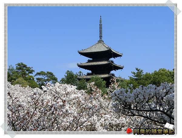 日本自由行 京都 旅遊景點介紹 洛西 總本山仁和寺 阿臭的隨堂筆記 旅遊 美食 生活 資訊 痞客邦 日本自由行 京都 旅遊景點介紹 洛西 總本山仁和寺 阿臭的隨堂筆記 旅遊 美食 生活 資訊 痞客邦