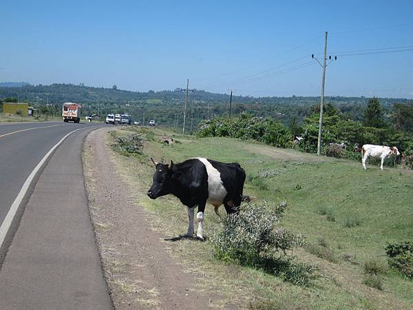 肯亞中部的畜牧區,地勢崎嶇不定