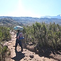 行程第二日的灌木區,照片右後方為目標Uhuru峰(Uhuru peak)