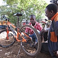 大樹下修車店，攝於肯亞