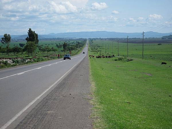 首都亞迪斯亞貝巴至Awassa路段多是雙線柏油路面，而畜牧業是衣索比亞重要產業之一