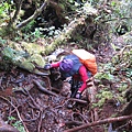 陡峭的登山路徑