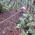 陡峭的登山路徑