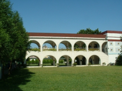 新成2.jpg 新成2.jpg
