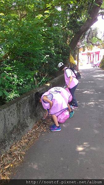 藤山園淨山(106年5月7日)_171115_0018.jpg