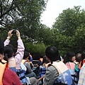 IMG_2787.jpg