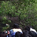 IMG_2788.jpg