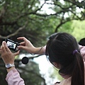 IMG_2795.jpg
