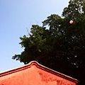 IMG_3119.jpg