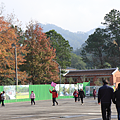 IMG_6571.png