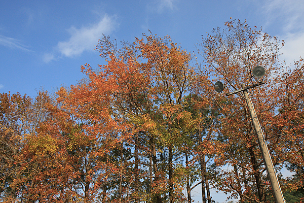 IMG_6579.png