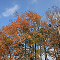 IMG_6579.png
