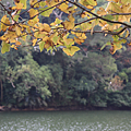 IMG_6615.png