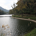 IMG_6623.png