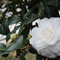 IMG_6638.png
