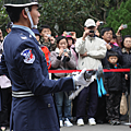 IMG_6677.png