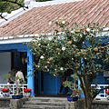 IMG_6682.png