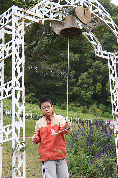 IMG_6699.png