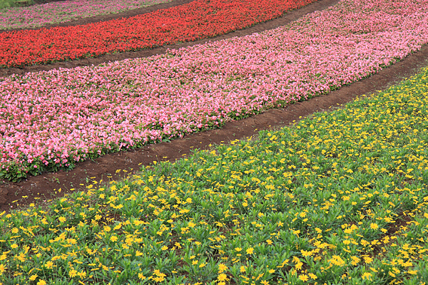 IMG_6707.png