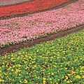 IMG_6707.png