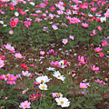 IMG_6730.png