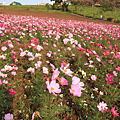 IMG_6754.png
