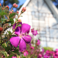 IMG_6757.png