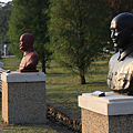 IMG_6772.png